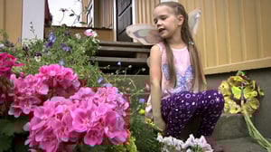 Henkilökuva: Perhostyttö Nomi: 10.11.2015 18.00