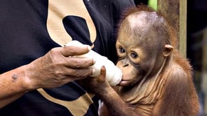 Elämäni eläimet: Eläinsairaalassa: 10.03.2016 13.45