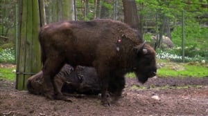 Elämäni eläimet: Eläinsairaalassa: 24.03.2016 15.30