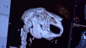 Elämäni eläimet: Eläinsairaalassa: 14.04.2016 15.30