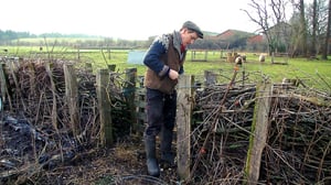 Tanskalainen maajussi: 06.01.2016 19.00