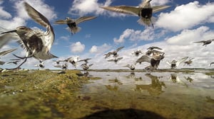 Selkämeri: Villin saariston syke: 19.12.2015 18.40