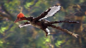 Prisma: Eläinten evoluutio: 27.04.2016 19.00