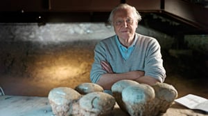 Prisma: Eläinten evoluutio: 04.05.2016 19.00