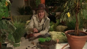 BUU-klubben: Tiikeriankan poppoo: 18.03.2016 18.00