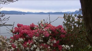 Iloa puutarhasta: 06.04.2016 19.00