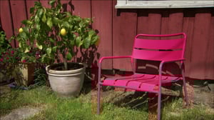 Iloa puutarhasta: 04.05.2016 19.00