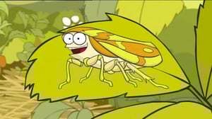 Ötökät (S): 10.05.2016 08.34