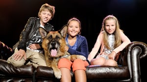 Westwijkin arvoitus (S): 09.02.2016 18.30