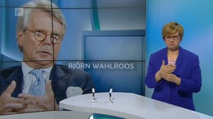 Yle Uutiset viittomakielellä: 07.04.2016 16.57