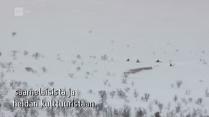 Yle Oddasat: 08.03.2016 15.15