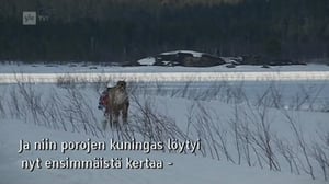 Yle Oddasat: 04.04.2016 15.15