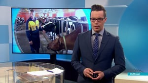 Oddasat: 27.04.2016 20.45