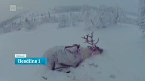 Oddasat: 31.03.2016 20.45