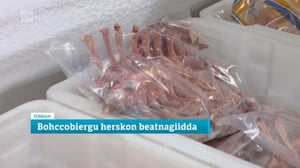 Oddasat: 02.05.2016 20.45