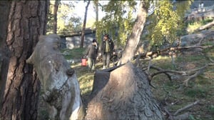 Luonto lähellä: nisäkkäät varautuvat talveen (S): 26.10.2015 08.24