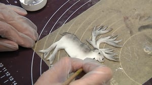 Yle Uutiset Keski-Suomi: Kakunkoriste: 29.10.2015 12.26