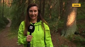 Yle Uutiset Häme: Uusi Yle uutiset Hämeestä aloittaa (S): 09.11.2015 17.02