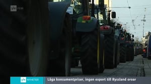 Yle Nyheter TV-nytt: 11.03.2016 17.55