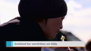 Yle Nyheter TV-nytt: 13.03.2016 19.30