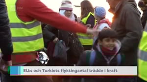 Yle Nyheter TV-nytt: 20.03.2016 19.30