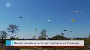 Yle Nyheter TV-nytt: 08.05.2016 19.30