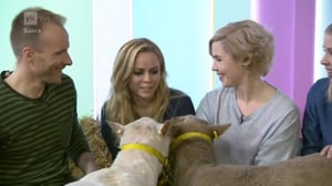 Puoli seitsemän: 24.03.2016 18.30