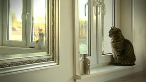 Pisara: 16.01.2016 15.10