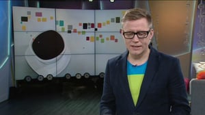 Luonto lähellä: sinisampea Kotkassa (S): 23.11.2015 08.46