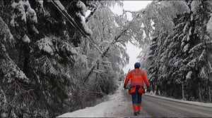 Yle Uutisluokka Triplet: Lumen aiheuttamat sähkökatkokset kiusasivat Keski-Suomea (S): 23.11.2015 18.07