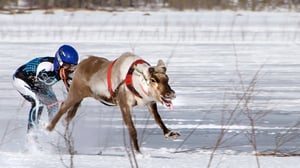 Maailman oudoimmat urheilulajit: 23.03.2016 09.03