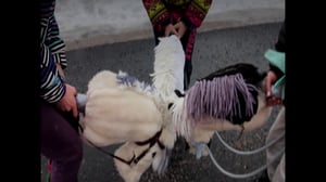 Kaikki kuvaa: 21.04.2016 09.00