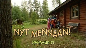 Nyt mennään!: Haravointi: 28.10.2015 07.17