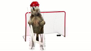 X3M-tv: Ted dagdrömmer om hockey junior-VM: 05.01.2016 17.20