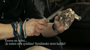 Volga 30 päivässä: Volga 30 päivässä 10/10: 11.01.2016 14.28