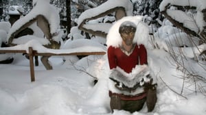 Yle Uutiset Kaakkois-Suomi: Parikkalan patsaspuisto kauhistuttaa ja ihastuttaa myös talvella: 19.01.2016 11.31