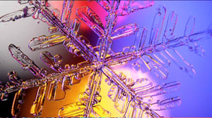 Yle Uutisluokka Triplet: Pekka Honkakosken kuvaama lumikide koristaa perjantaina julkaistavaa postimerkkiä (S): 21.01.2016 12.06