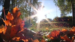 Mediataitoviikko: Leikitään: Ikävä: 03.02.2016 10.38