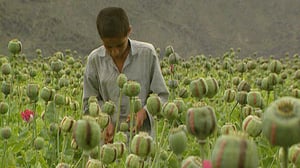 Ulkolinja: Heroin express! Huumeita kaikille.: 24.02.2016 16.30