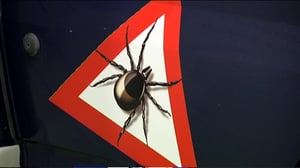 Yle Uutisluokka Triplet: Punkkien levittämiä sairauksia yhä enemmän (S): 18.02.2016 10.13