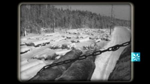 Elävä arkisto: Viikon valinnat: Viikon valinnat: Metsäteollisuus: 25.02.2016 09.00