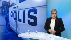 Yle Uutiset Uusimaa: Yle Uutiset Uusimaa 25-02-2016 klo 18-22: 25.02.2016 18.37
