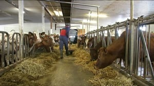 Yle Uutiset Itä-Suomi: Yle Uutiset Itä-Suomi 29-02-2016 Klo 17-06: 29.02.2016 16.29