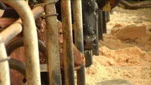 Yle Uutiset Itä-Suomi: Yle Uutiset Itä-Suomi 01-03-2016 Klo 17-06: 01.03.2016 16.23