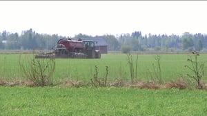 Yle Uutiset Pohjanmaa: Yle Uutiset Pohjanmaa 02-03-2016 Klo 17-06: 02.03.2016 16.58