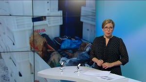 Yle Uutiset Uusimaa: Yle Uutiset Uusimaa 02-03-2016 klo 18-22: 02.03.2016 18.35