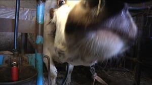 Yle Uutiset Itä-Suomi: Yle Uutiset Itä-Suomi 04-03-2016 Klo 17-06: 04.03.2016 16.29