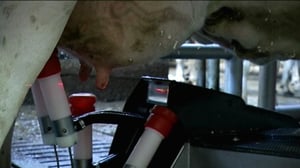 Yle Uutiset Keski-Suomi: Yle Uutiset Keski-Suomi 04-03-2016 Klo 17-06: 04.03.2016 16.37