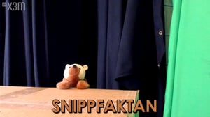 Verdens minsa sjåu #1: 08.03.2016 11.11