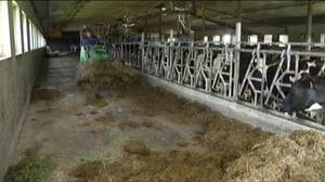 Yle Uutiset Keski-Suomi: Yle Uutiset Keski-Suomi 08-03-2016 Klo 17-06: 08.03.2016 16.38